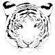 pdmarch282008's Avatar