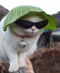 SenorMeow's Avatar
